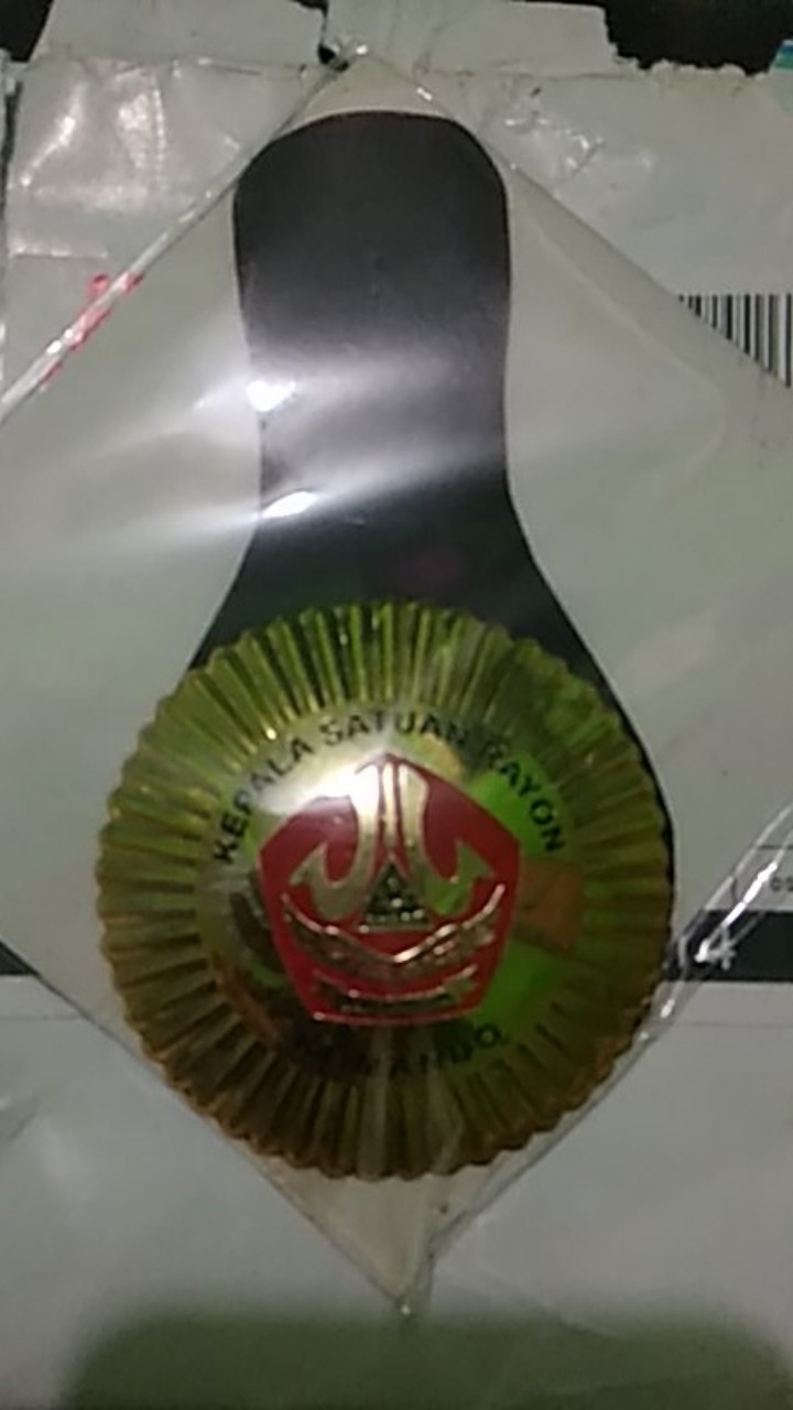 Jabatan Komando Kepala Satuan Rayon Dan Cabang Ansor Banser