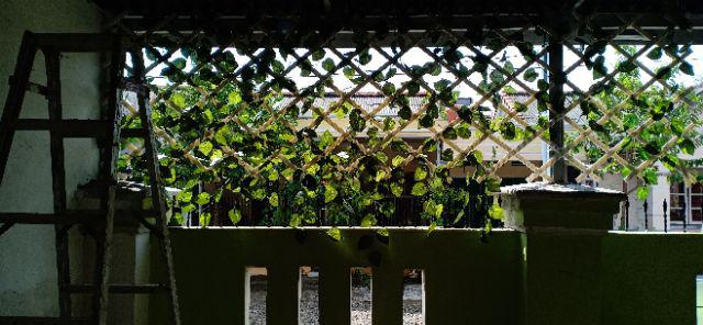 Pagar Tanamam Teralis Plastik 1x2 M