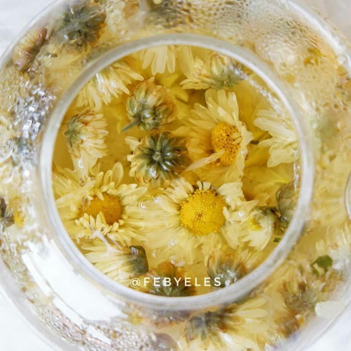 

TEH-DAUN- CHRYSANTHEMUM TEA SACHET 10GR -DAUN-TEH.