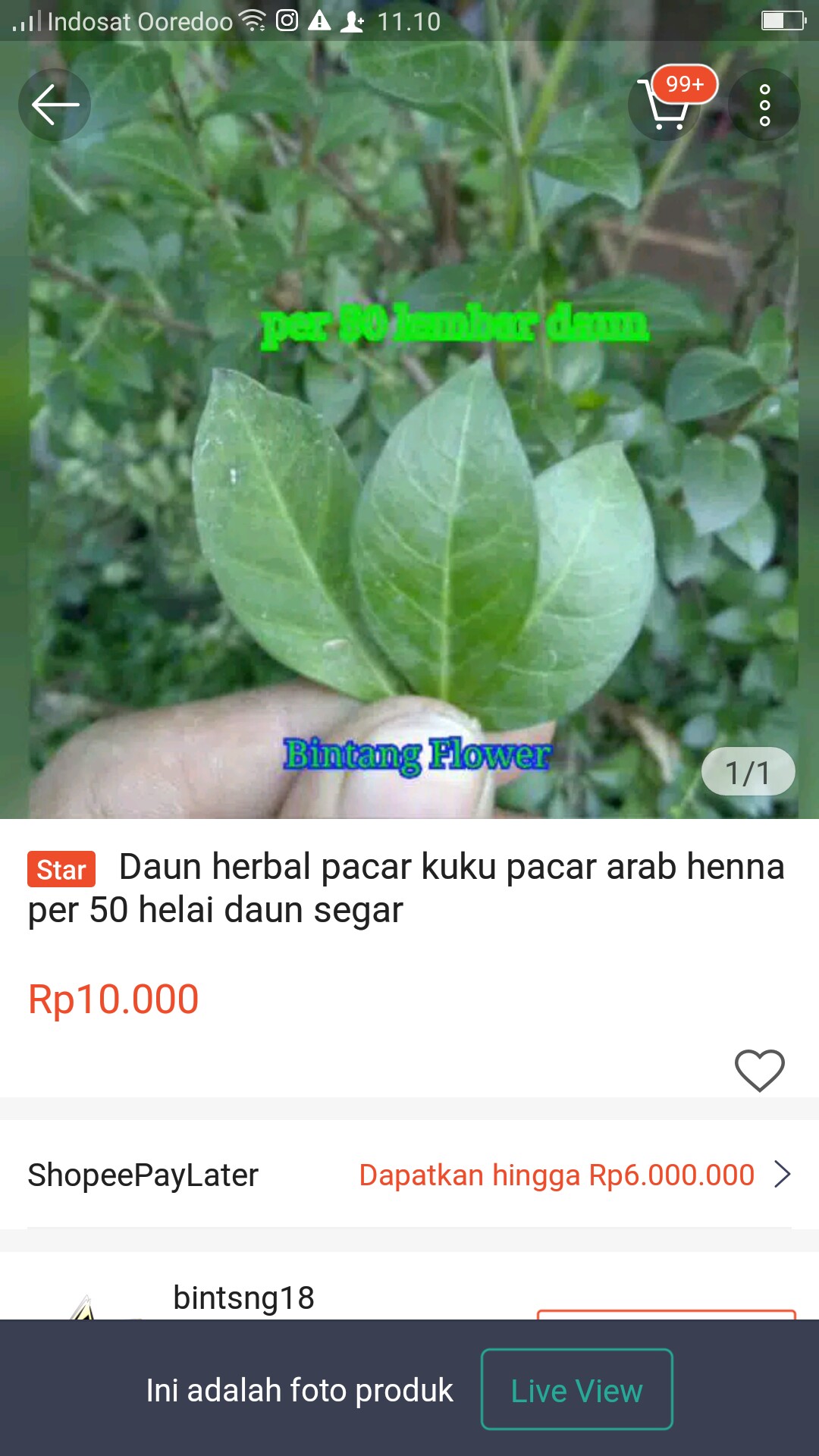 Daun herbal pacar kuku pacar arab henna per 50 helai daun segar