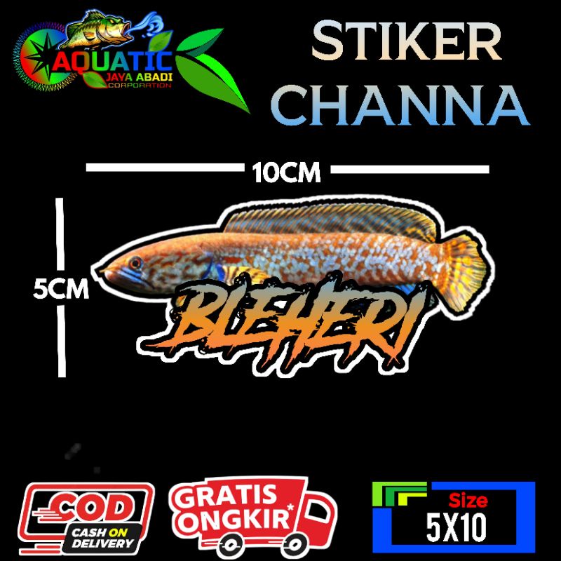 

Stiker Channa Bleheri