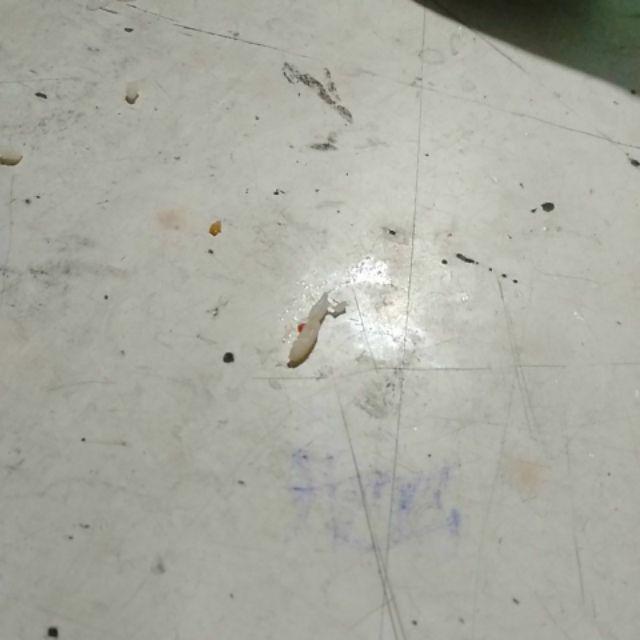 Gantungan Botol Minum Buckle Hook Backpack Bottle Hanger Holder Botol