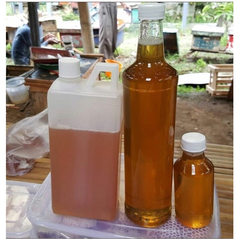 

Madu manis berat 1kg