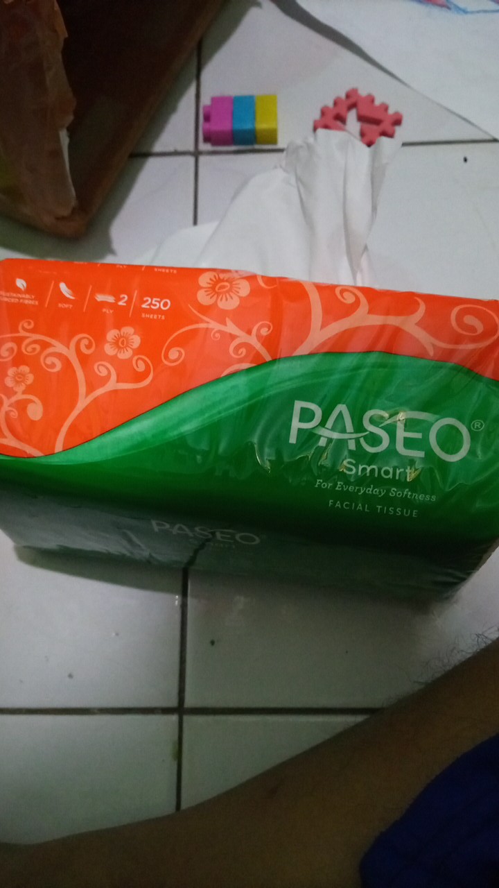 Tissue Paseo Smart 250 Sheets Tissue Facial