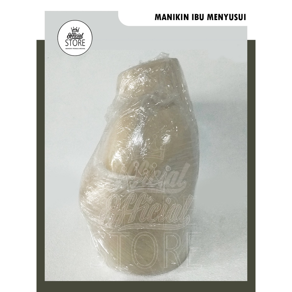 Phantom Payudara / Manikin Ibu Menyusui