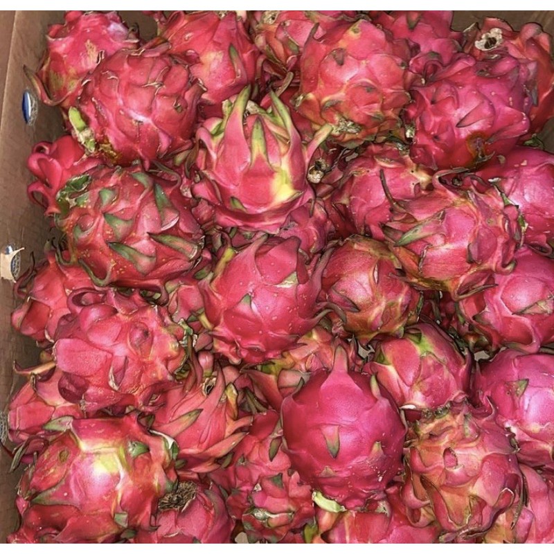 

buah naga merah surabaya sidoarjo (gosend only) 900-1000gr