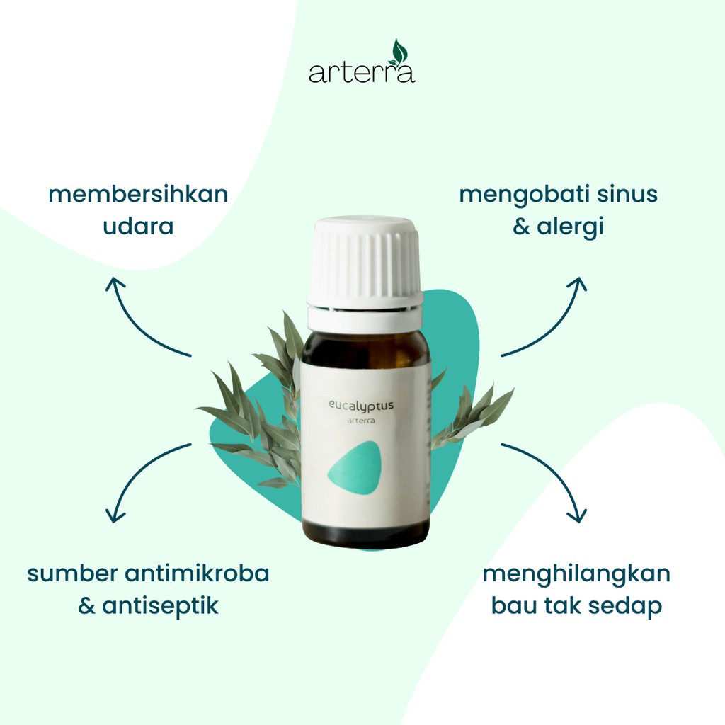 ARTERRA EUCALYPTUS ESSENTIAL OIL 10ML | 100% PURE - AROMATHERAPY