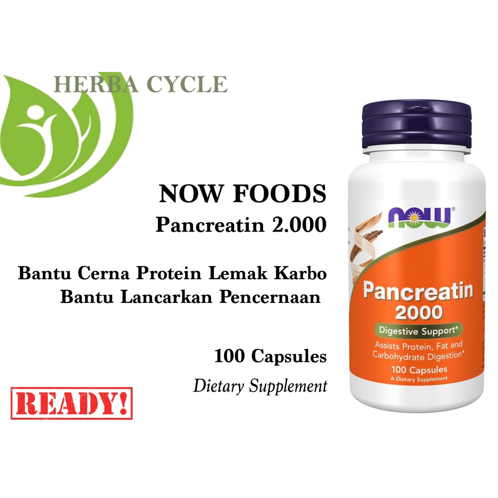 Now Food Pancreatin 2000 100cap Kesehatan Pencernaan Lancar ORI USA