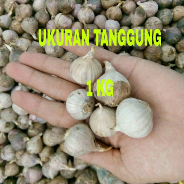 

Bawang Putih Tunggal/Lanang 1 Kg
