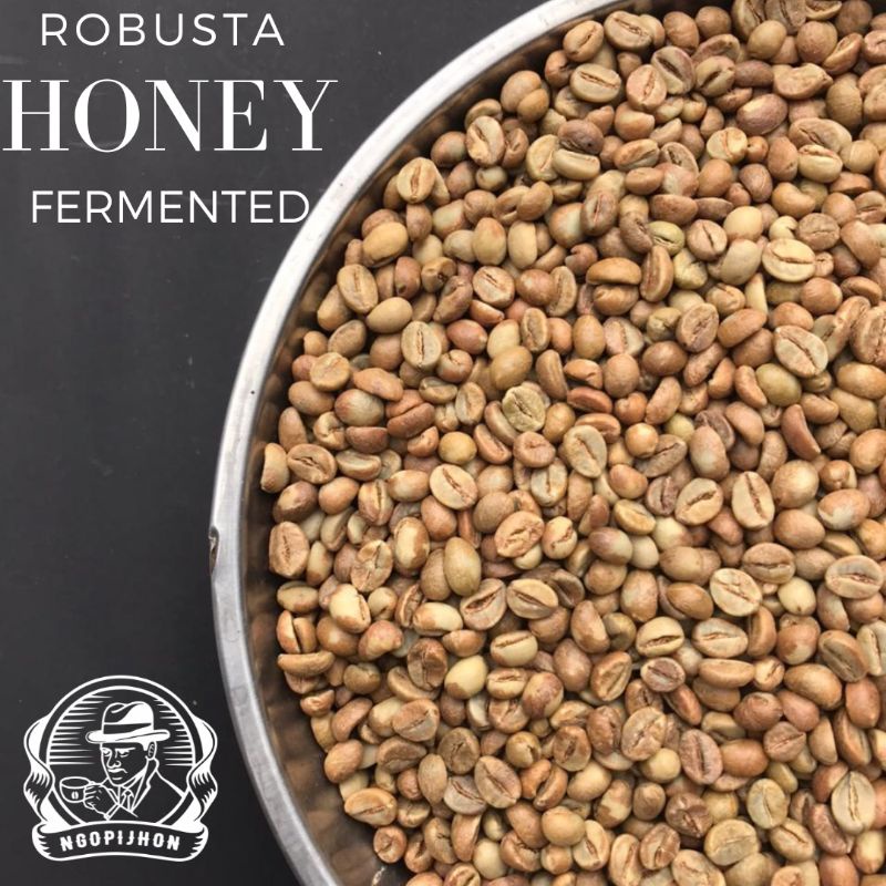 Grean Bean Robusta Honey Fermented/Fermentation Limited Biji Mentah Kopi 1kg