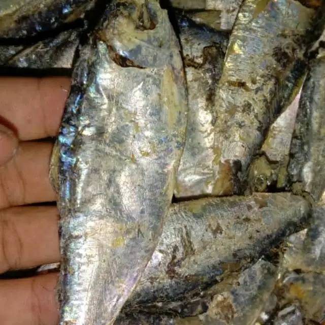 

ikan sepo tawar Campur isi 1000 gram= 1 Kg