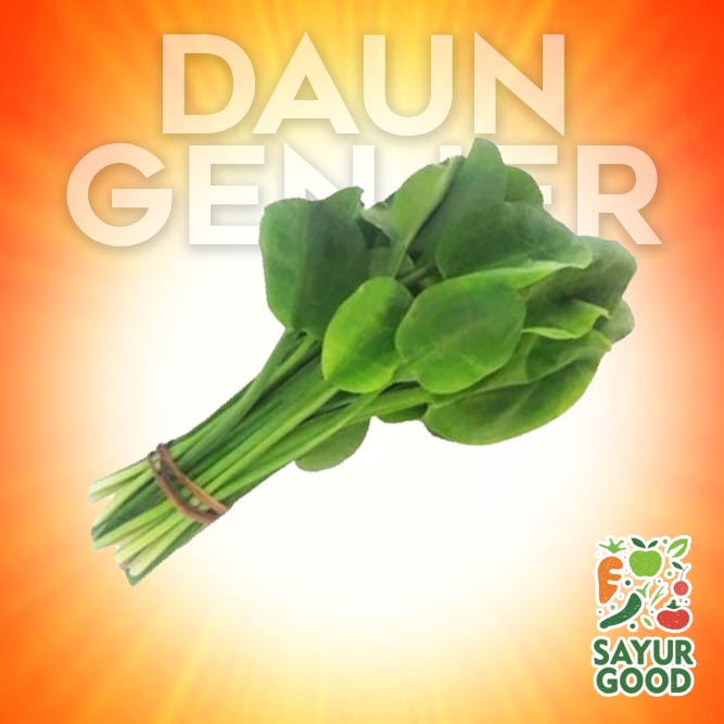 

Daun Genjer Segar / Genjer / Sayur Genjer / Sayur Segar / Per Ikat