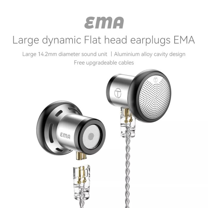 TRN EMA with Mic HIFI Level Earbud Dynamic Driver Earphone Bass Metal