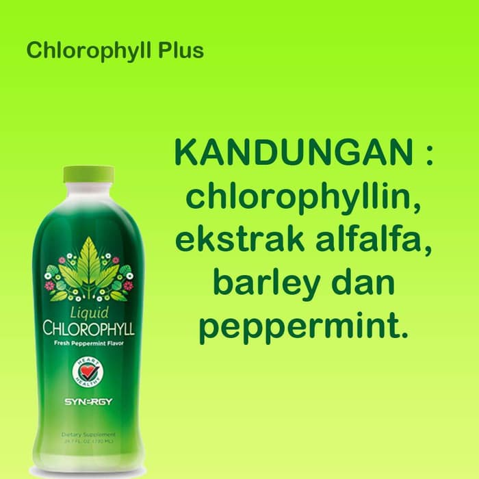 TERMURAH - Paket Herbal Obati Batu Empedu Plus Suplemen Kekebalan Tubuh Dewasa
