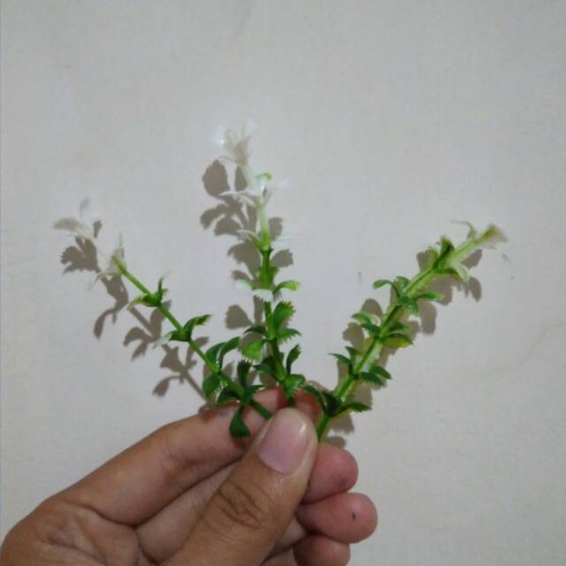 BA089 Daun rumput plastik artificial