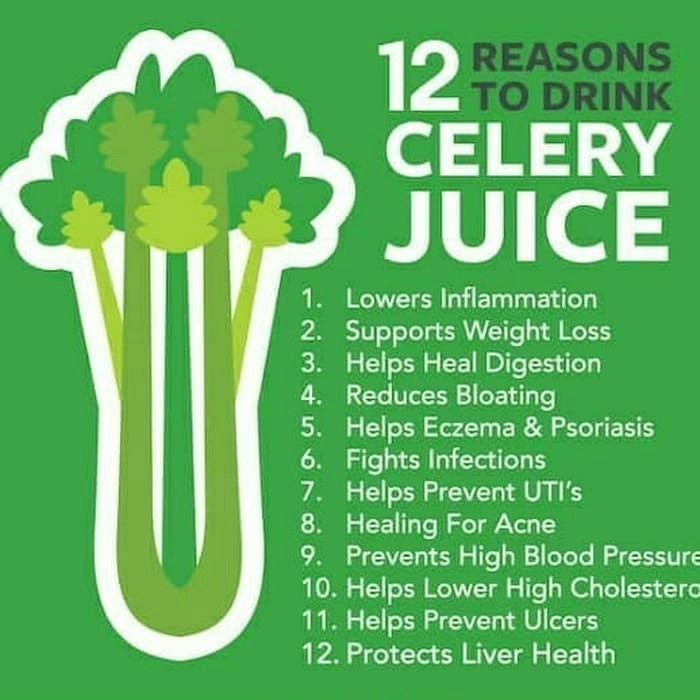 

RB Batang Seledri Stik Celery Stick IMPOR 10 kg 1 krat