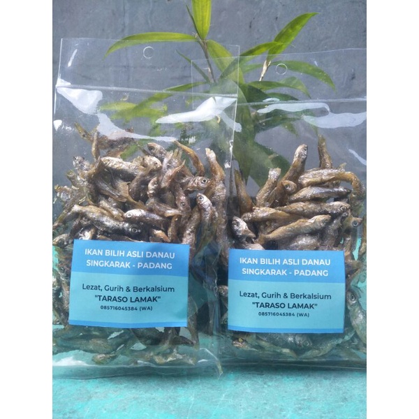 

Ikan Bilih (ASLI) TERLARIS Danau Singkarak Paket Hemat