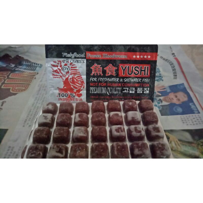 

Cacing Beku / Frozen Bloodworm