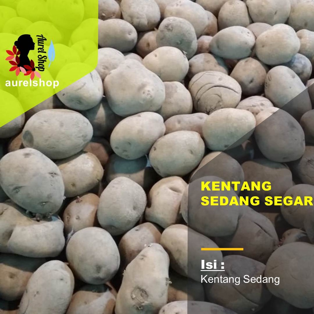 

Kentang Dieng Sedang Segar kemasan 1 kg