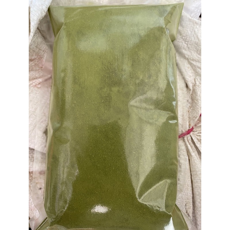 kelor bubuk 500gr / daun kelor bubuk