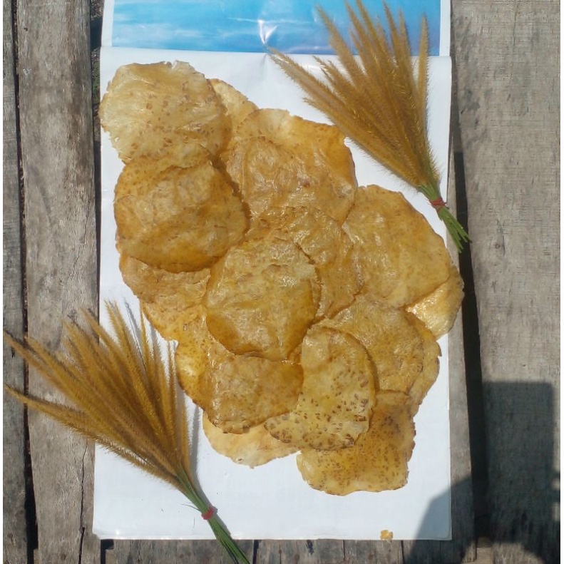 

WAJIB BACA DESKRIPSI !! 500GR kerupuk jengkol minang / kerupukjengkol yummy / termurah dan besar besar