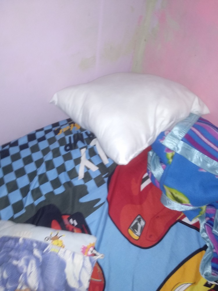 Isi Bantal Sofa Satuan