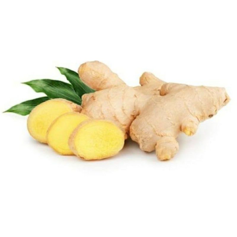 

jahe segar LBS 200gr