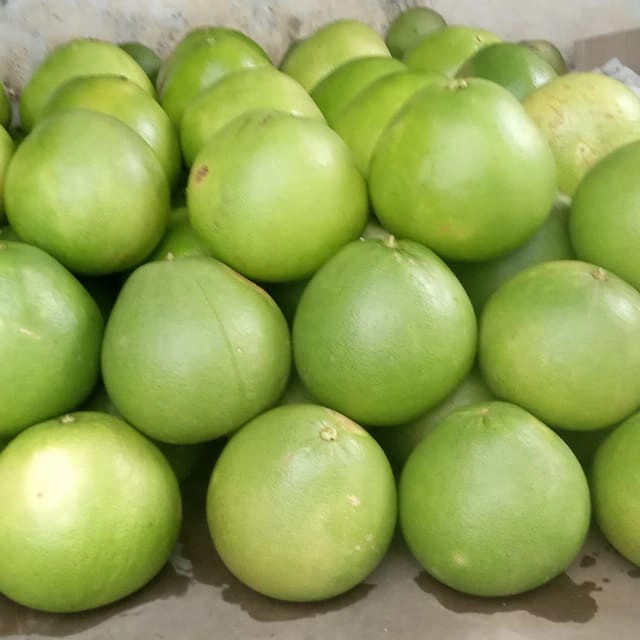 

Jeruk Pamelo Muria Madu Khas Kudus