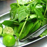 Benih Bibit Biji - Citrus Basil Lime Herb Seeds - IMPORT