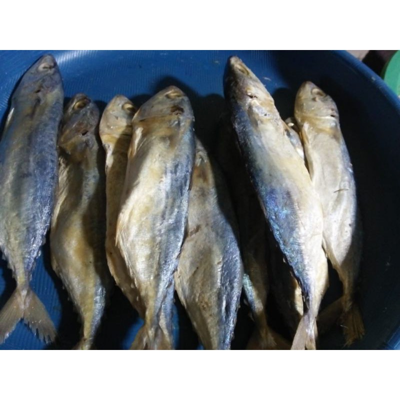 

pedah putih