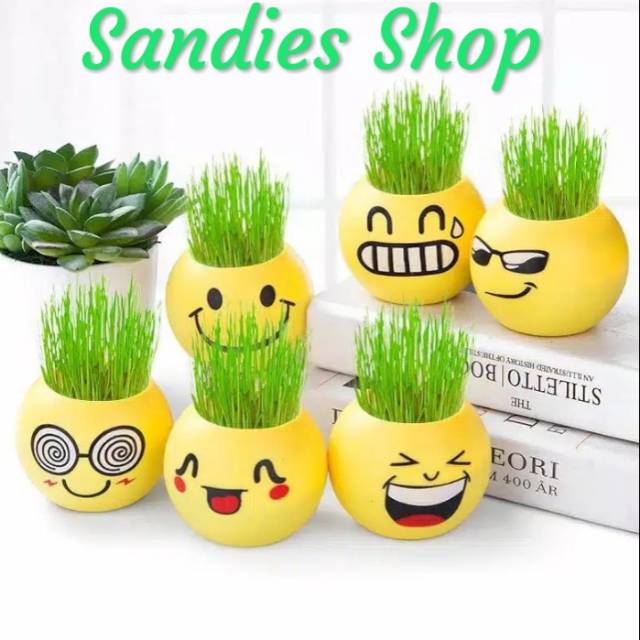 Pot Mini Rumput / Pot Emoticon Mini Rumput / Pot mini lucu / Pot kecil set media dan bibit