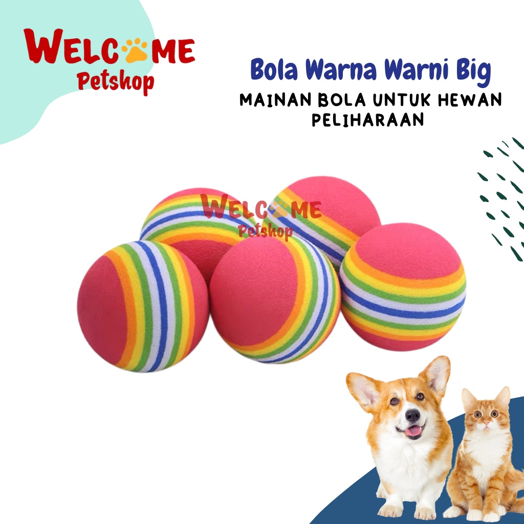 BIG Bola Warna Warni Mainan Bola Anjing Kucing Gigitan Pet Toy