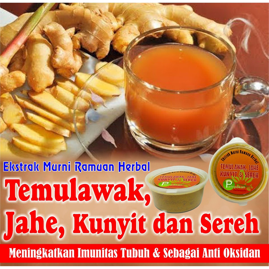 Herbal Mix Temulawak Jahe Kunyit Sereh Indonesia