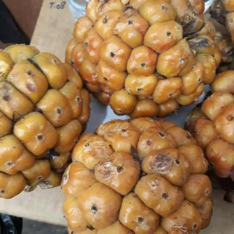 

ASAM CIKALA (KEMASAN 500 GRAM)