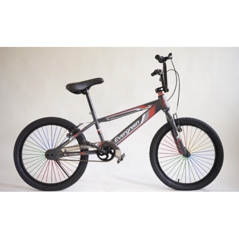 Sepeda BMX Evergreen 20 inch Classic B1 Anak bisa Dewasa Garansi SNI-2
