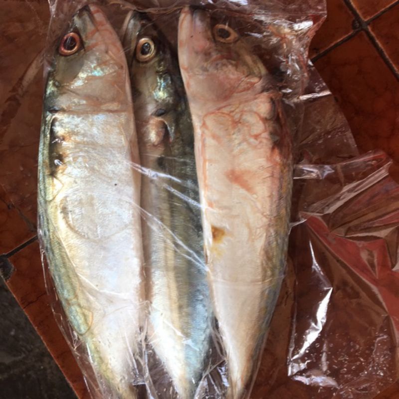 

Ikan Kembung 500g