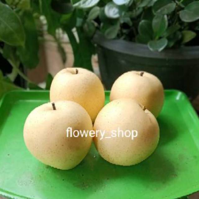 

Pear century pear madu import 1kg