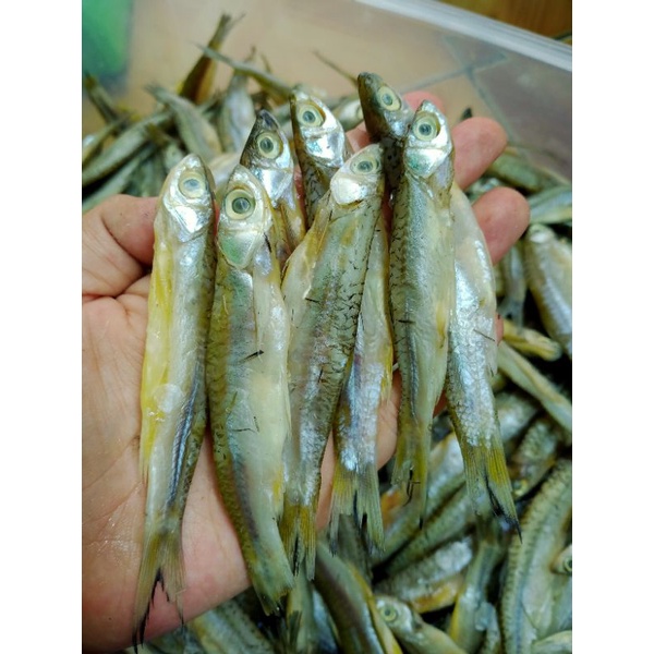 

ikan asin saluang 250gr