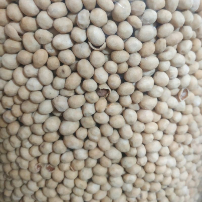 

Kacang atom SP 500g