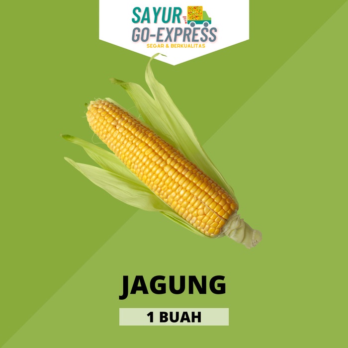 

jagung manis segar fresh corn