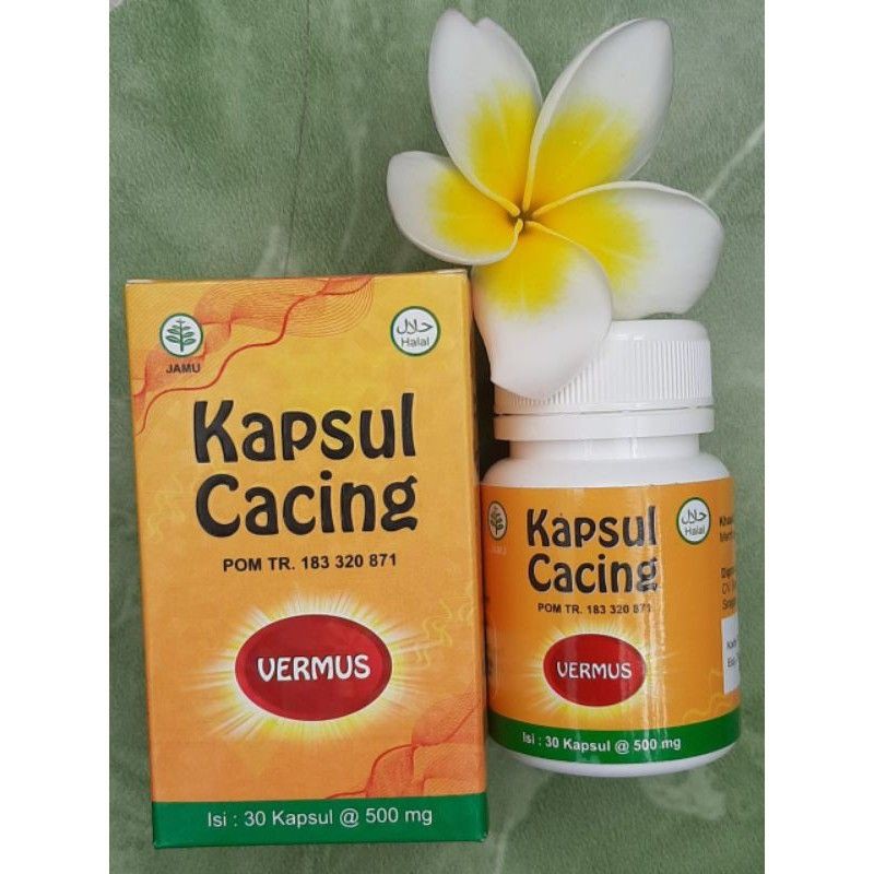VERMINT 30 Kapsul | VERMUS 30 Kapsul | Obat Typus Demam Pegal Pegal