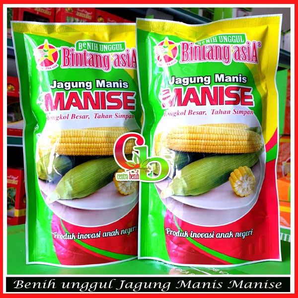 (COD)BENIH JAGUNG MANIS UNGGUL MANISE 250GR - BIBIT JAGUNG MANIS