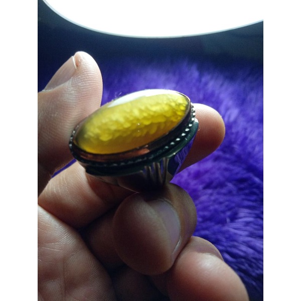 pandan lumut kristal 155