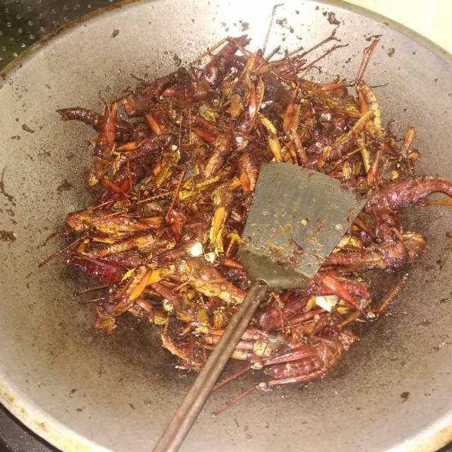 

belalang goreng