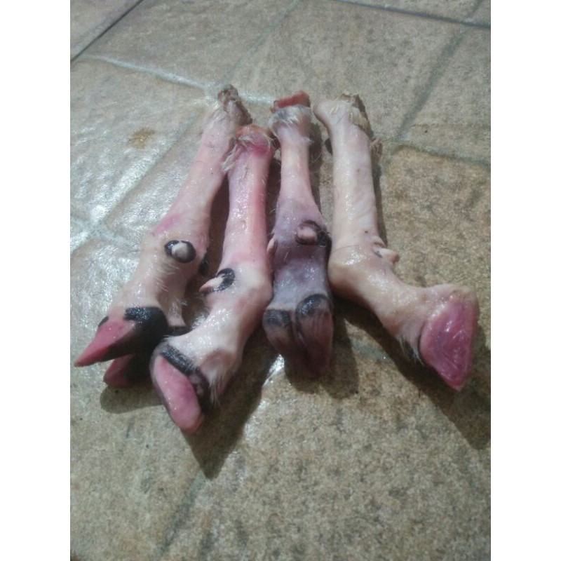 

kaki kambing muda 2pc