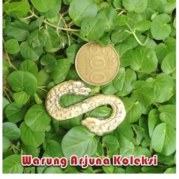 

Naga Kembar Kuningan