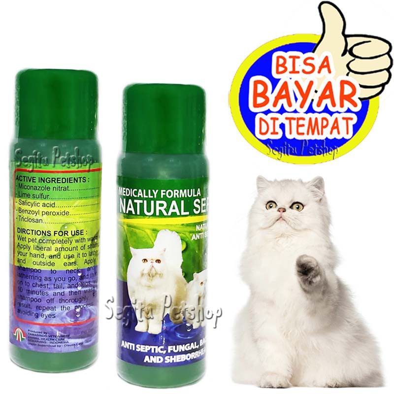 SAMPO JAMUR KORENG KUCING ANTI SHAMPO SCABIES NATURAL SEPTIC