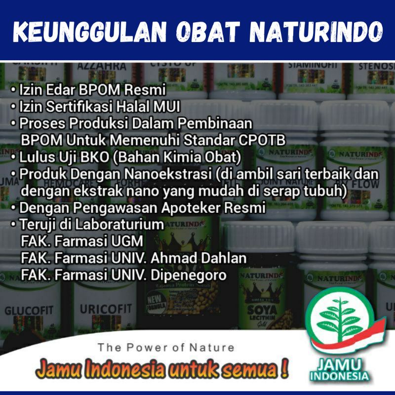 Obat bisul bernanah udun menahun bisul anak bisul di badan bernanah udun di pantat ampuh herbal