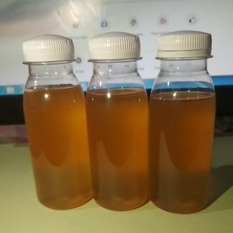 

Madu Asli Kelulut