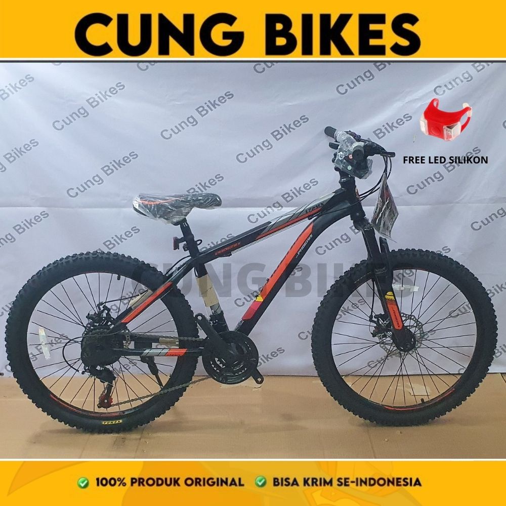 Sepeda gunung MTB 24 Inch Phoenix 178 MX